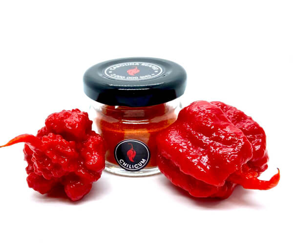 Chilicum Carolina Reaper Chili-Pulver 30 ml – Bild 2